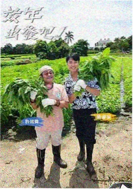短剧精品化趋势 影视资讯